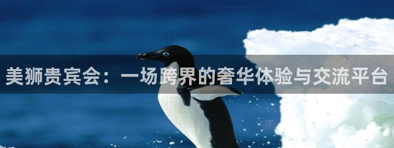 壹号电子娱乐app下载