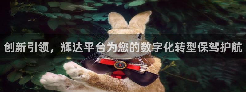 壹号官网app下载安装