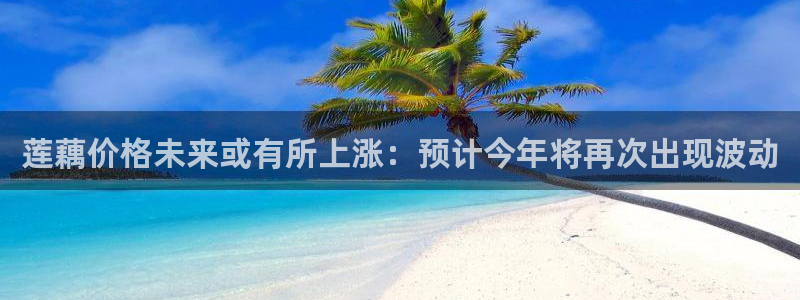 壹号平台下载安装