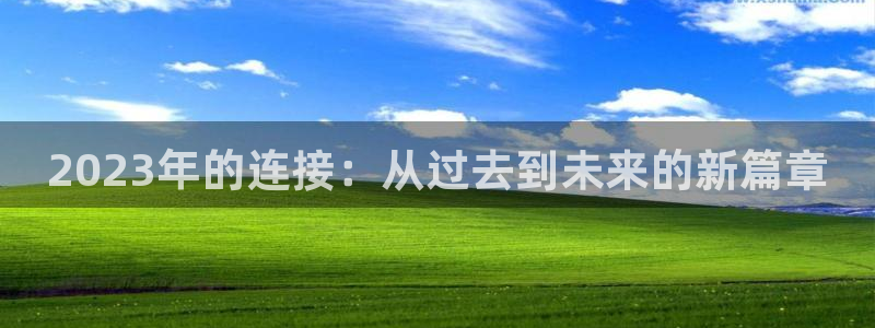 壹号电子娱乐app下载官网