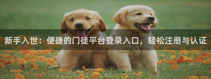 恒行com