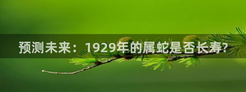 恒行com