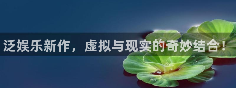 壹号官方app下载安装