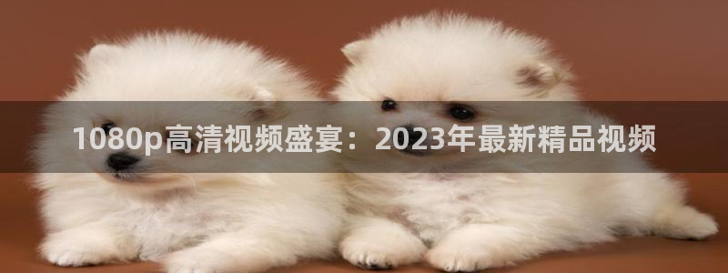 恒行网站