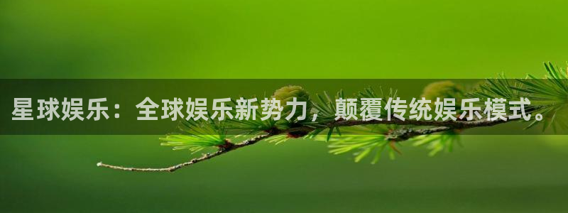壹号官方app下载安装