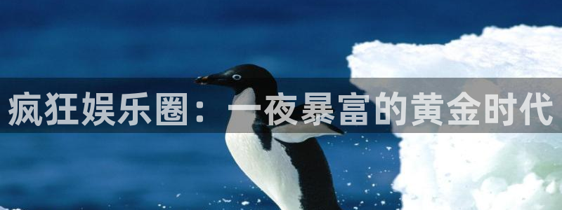 壹号电子娱乐app下载安装