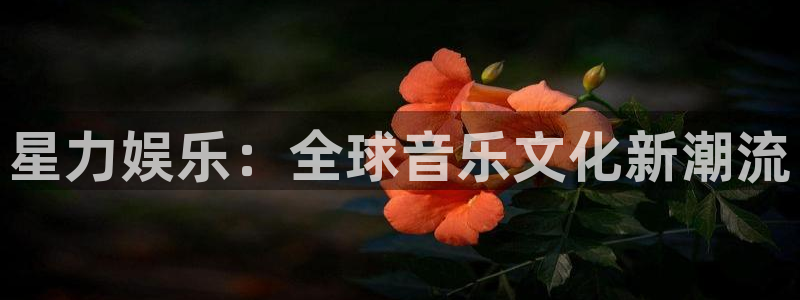 恒行app下载安装最新版