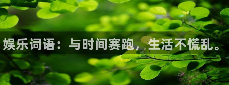 壹号平台下载安装官网