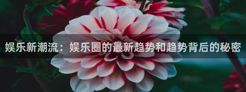 壹号平台娱乐