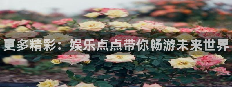恒行退款怎么退