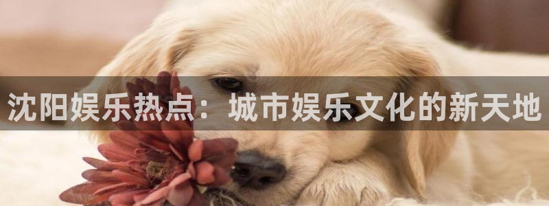 恒行官方网站下载