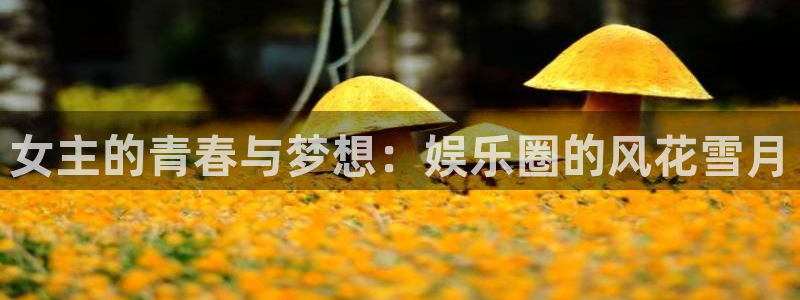 恒行怎么下载