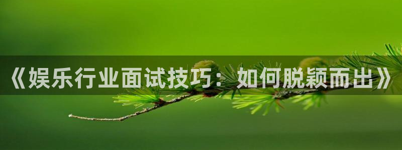 壹号大舞台官网入口