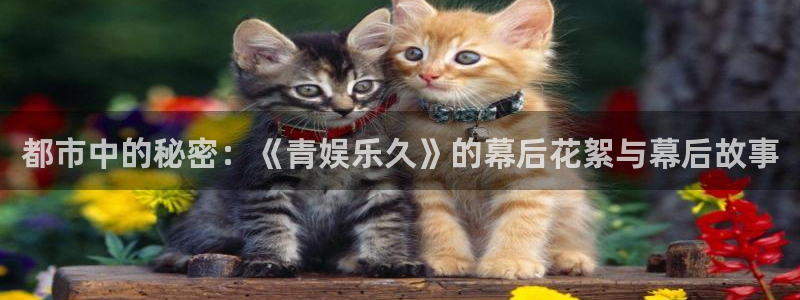 恒行电子游戏官网