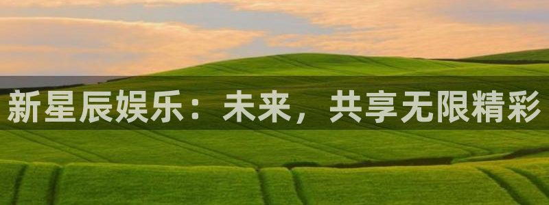 壹号电子娱乐app