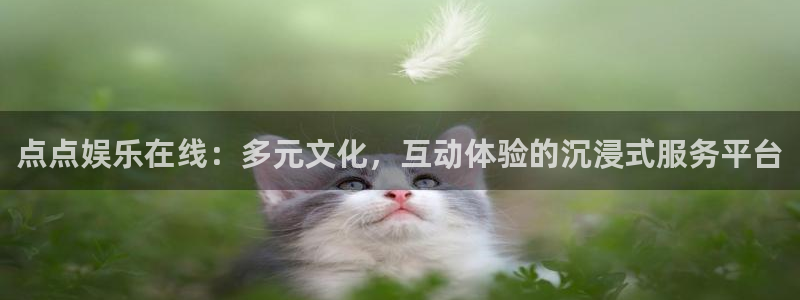 恒行 - ng大舞台,有梦你就来：点点娱乐在线：多元文化，互动体验的沉浸式服务平台